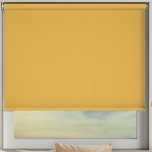 Keily Gold Electric Roller Blinds Frame